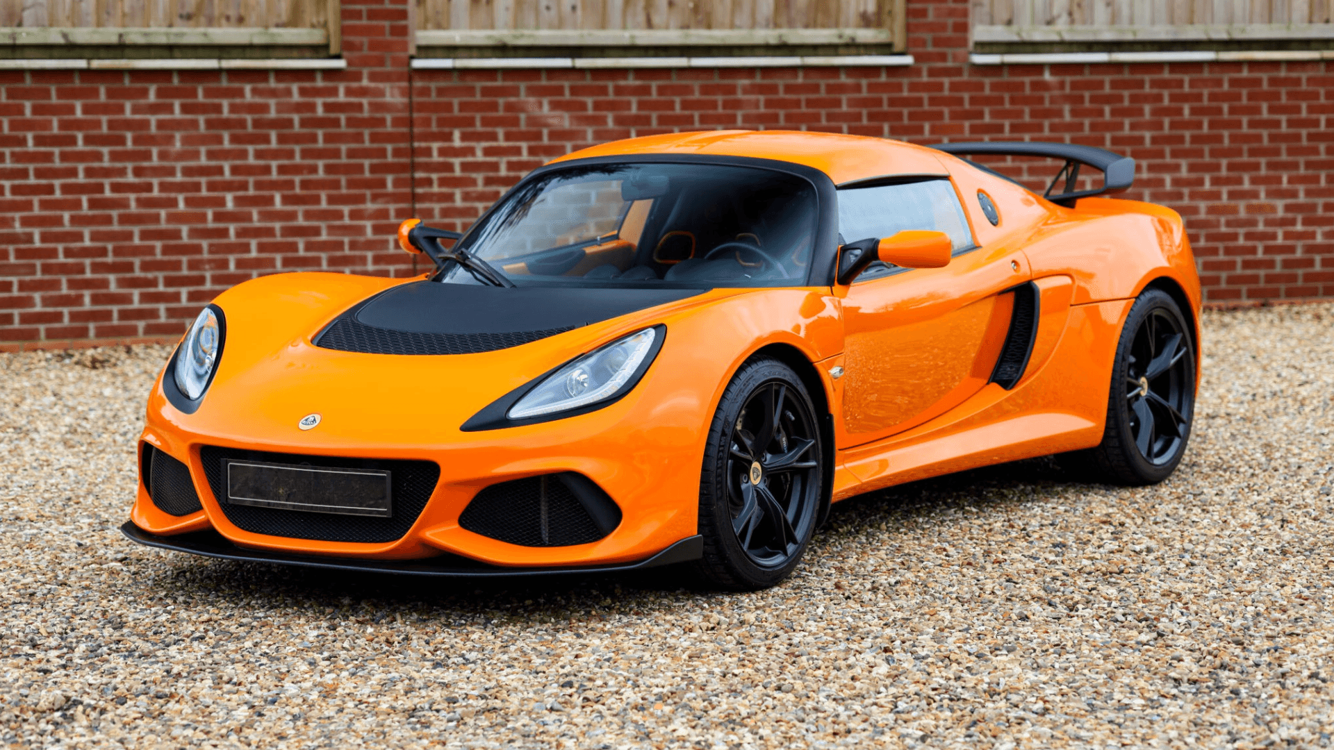 Lotus